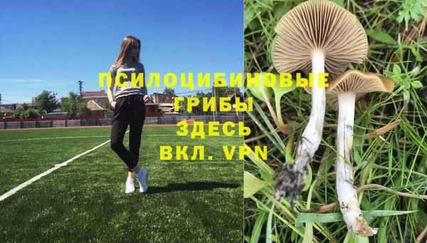 таблы Алексин