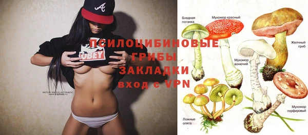 кокс Алексеевка