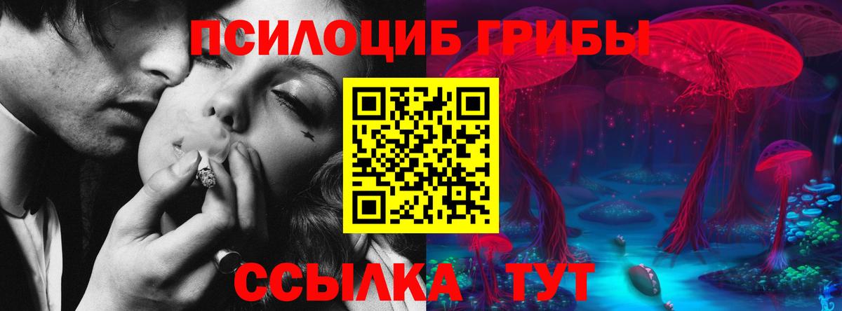 Галлюциногенные грибы Psilocybine cubensis  Галлюциногенные грибы GOLDEN TEACHER  Урай  Вход с VPN 